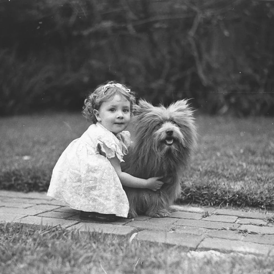 Scottish Terrier
